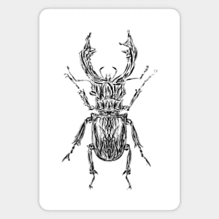 Stag beetle Magnet